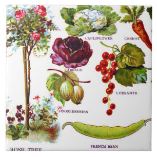 Summer Garden Botanicals Ceramic Tile