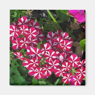 Summer garden magnet