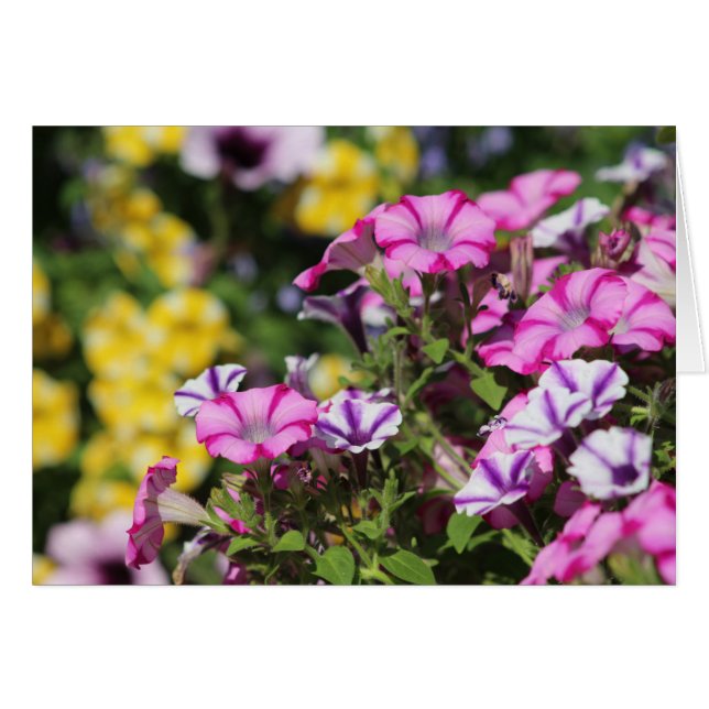 Summer garden note card (Front Horizontal)