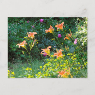 Summer Garden Postcard, winter thoughts Postcard