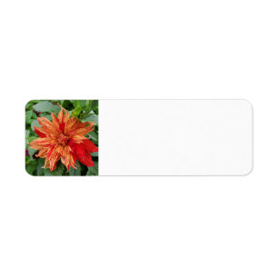 Summer garden return address label
