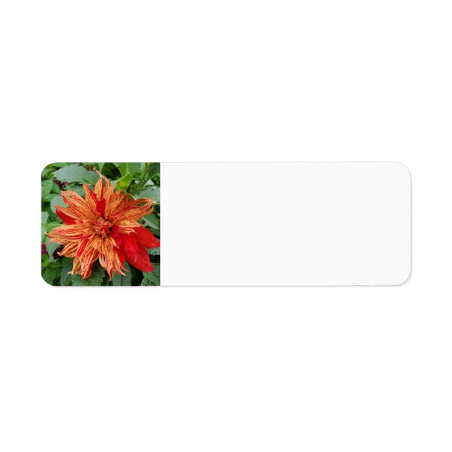 Summer garden return address label (Front)