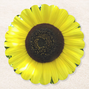 Summer Garden Sunflower Paper Coaster