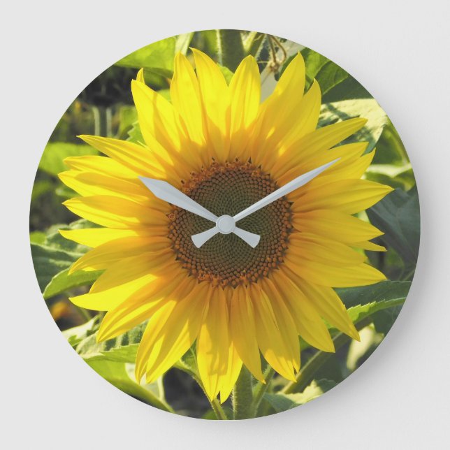 Summer Glow Sunflower Large Clock (Front)