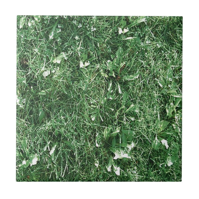 Summer Grass Ceramic Tile (Front)
