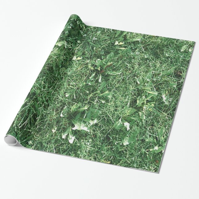 Summer Grass Wrapping Paper (Unrolled)