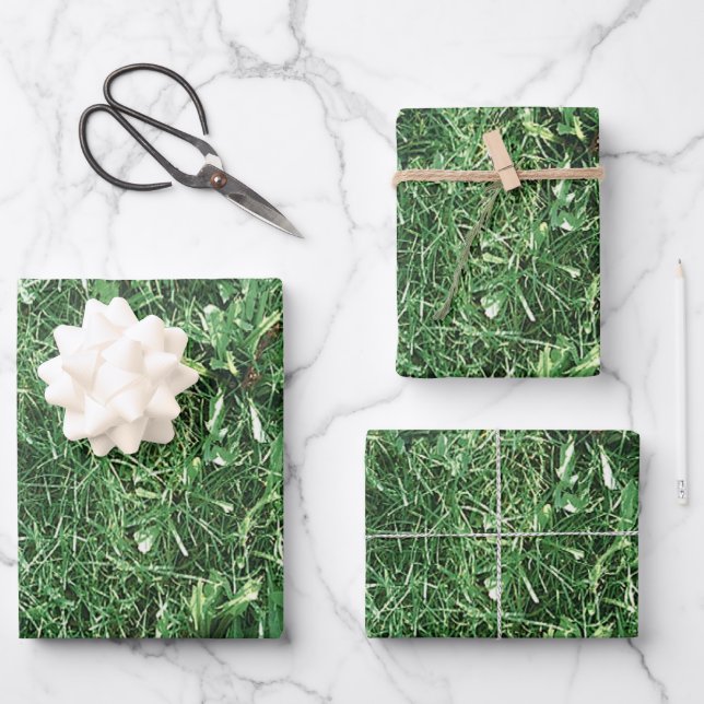 Summer Grass Wrapping Paper Sheet (Front)