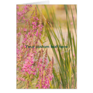 Summer Grasses and Flowers