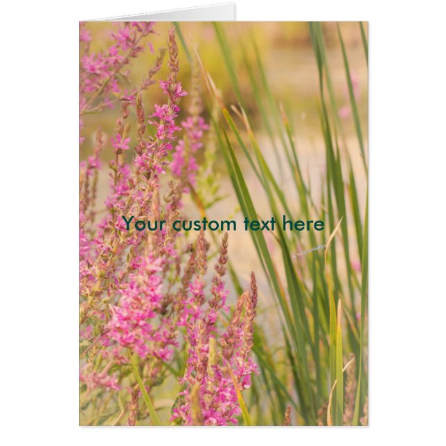 Summer Grasses and Flowers (Front)