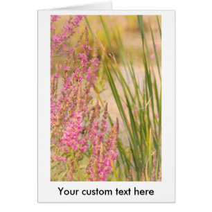 Summer Grasses and Flowers