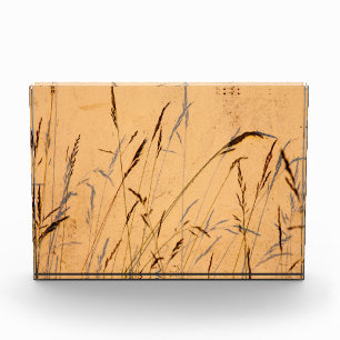 Summer Grasses And Shadows Postcard Poster Acrylic Photo Block