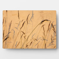 Summer Grasses And Shadows Postcard Poster Acrylic