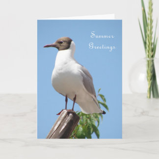 Summer Greetings Bird Card