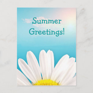 Summer Greetings! Postcard