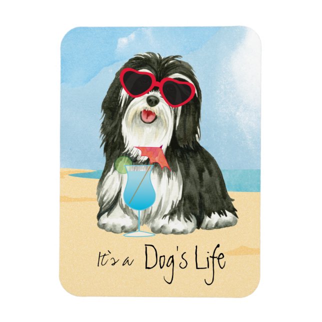 Summer Havanese Magnet (Vertical)