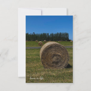 Summer Hay Bales Card