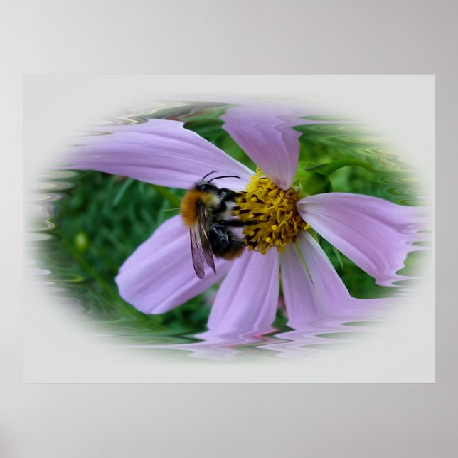 Summer heat poster (Front)