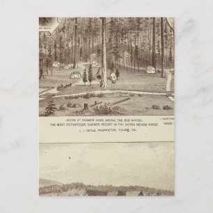 Summer Home, Lewis residence Postcard