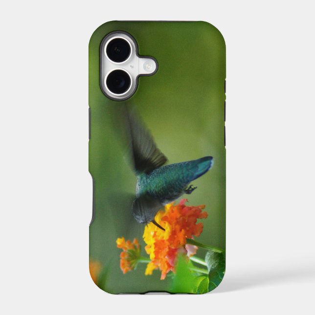 Summer Hummer! (Back)