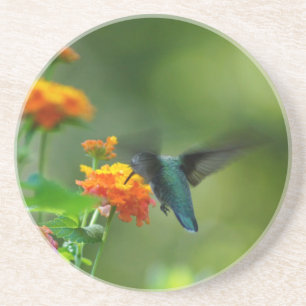 Summer Humming III Coaster