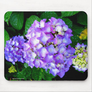 Summer Hydrangea Mouse Pad