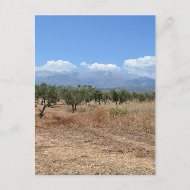 Summer in Crete Postcard (Front)