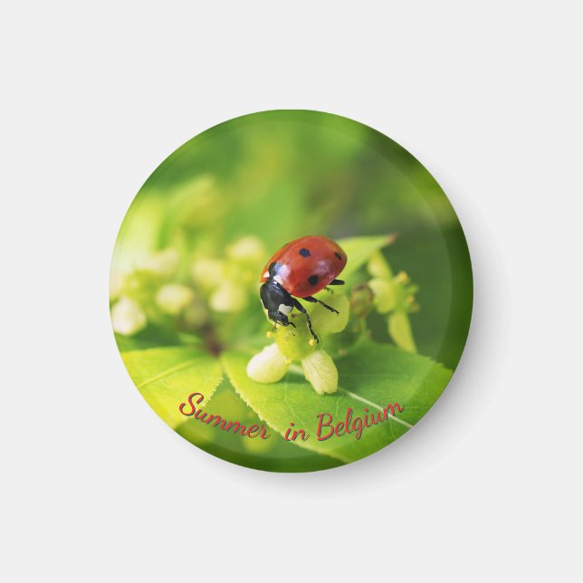Summer in garden, lagybug magnet (Front)