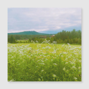 Summer in Hälsingland - Helsingia
