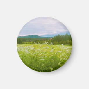 Summer in Hälsingland - Helsingia Magnet