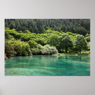 Summer in Jiuzhaigou Valley Poster