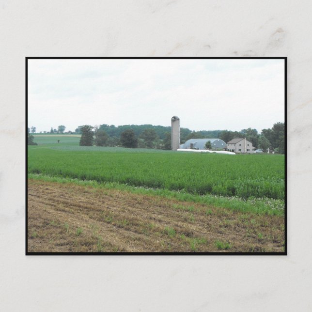 ~ Summer in Lancaster County ~ 10 Postcard (Front)