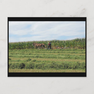 ~ Summer in Lancaster County ~ 76 Postcard