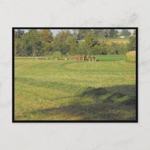 ~ Summer in Lancaster County ~ 90 Postcard