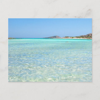 Summer in Paradise Postcard