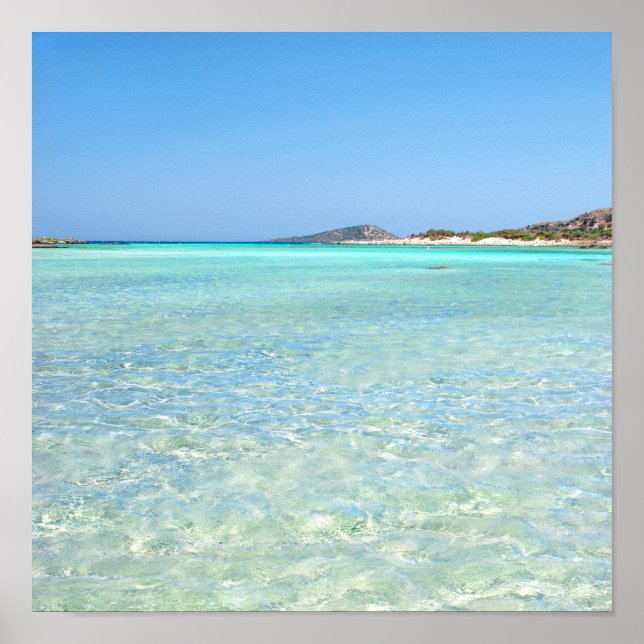 Summer in Paradise Poster (Front)