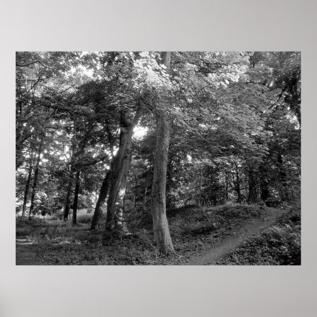 Summer in the Wood Poster (Front)