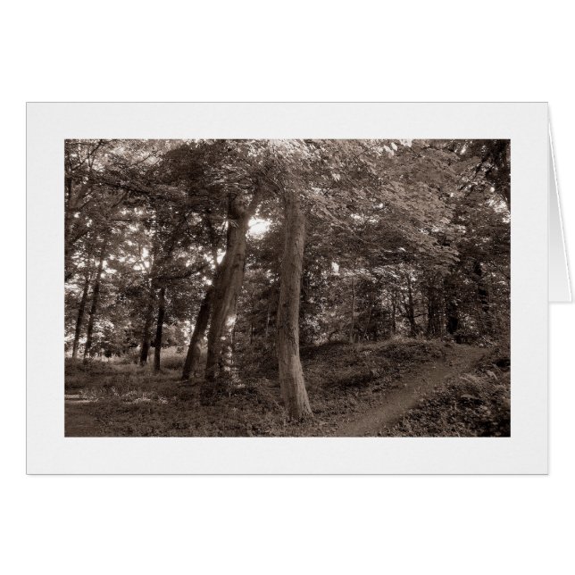 Summer in the Woods - Warm Toned (Front Horizontal)