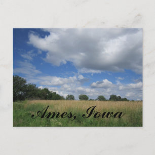 Summer Iowa Prairie Ames, Iowa Postcards