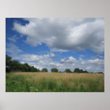 Summer Iowa Prairie Poster