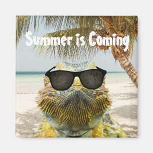 Summer is Coming Magnet