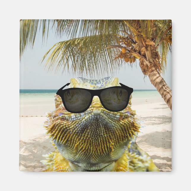 Summer is Coming Magnet (Front)