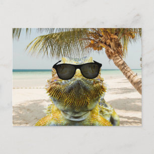 Summer is Coming Postcard