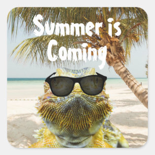 Summer is Coming Square Sticker