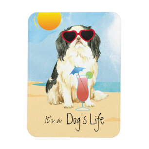 Summer Japanese Chin Magnet