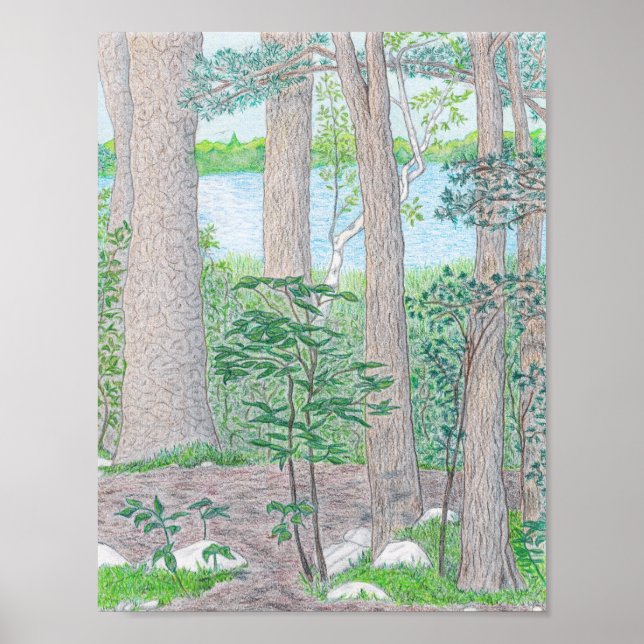 Summer Lake with Woods Coloured Pencil Drawing Poster (Front)
