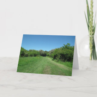 Summer Landscape Card