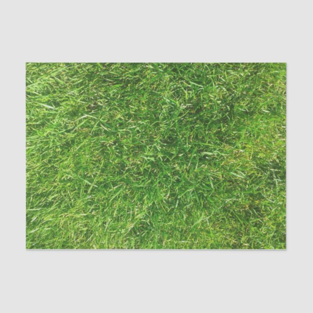 Summer Lawn Tissue Paper (Front)