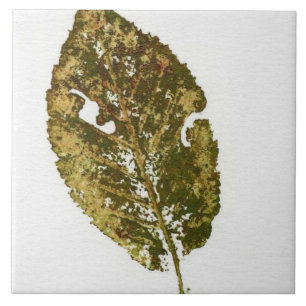 Summer leaf nature printed in realistic green ink ceramic tile