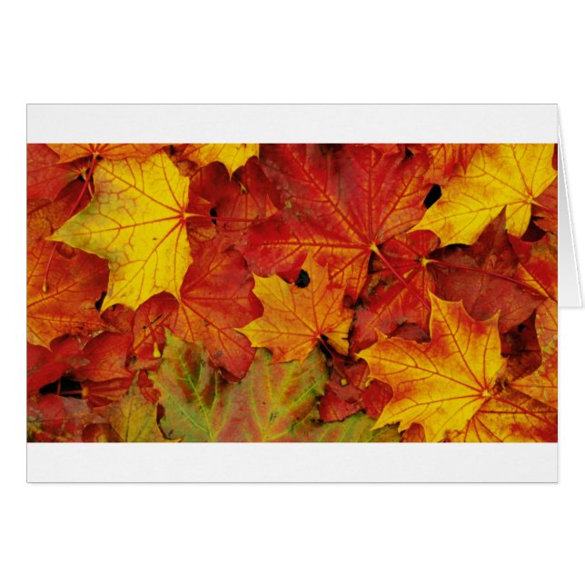 SUMMER LEAVES (Front Horizontal)