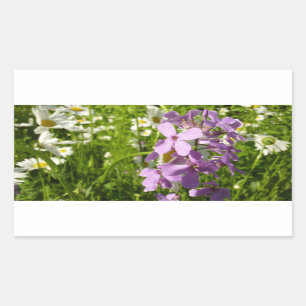 Summer Lilac and Daisies Rectangular Sticker